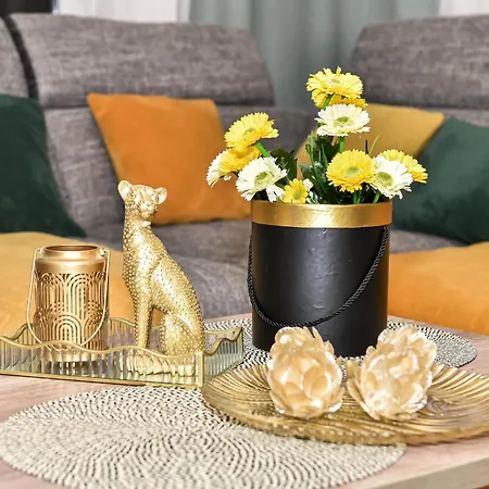 Apartment Trendy *